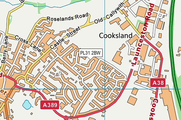 PL31 2BW map - OS VectorMap District (Ordnance Survey)