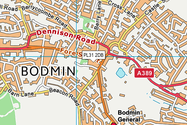 PL31 2DB map - OS VectorMap District (Ordnance Survey)