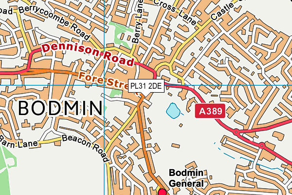 PL31 2DE map - OS VectorMap District (Ordnance Survey)