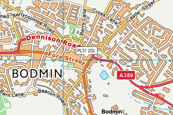 PL31 2DL map - OS VectorMap District (Ordnance Survey)