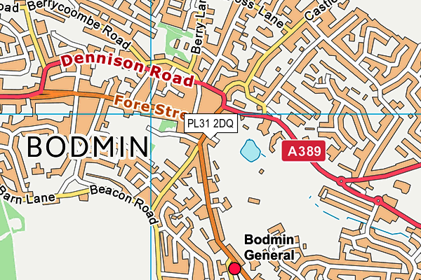 PL31 2DQ map - OS VectorMap District (Ordnance Survey)