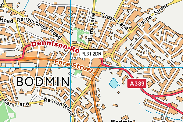 PL31 2DR map - OS VectorMap District (Ordnance Survey)