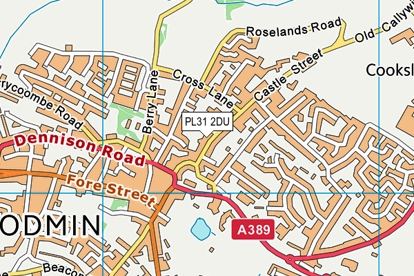 PL31 2DU map - OS VectorMap District (Ordnance Survey)