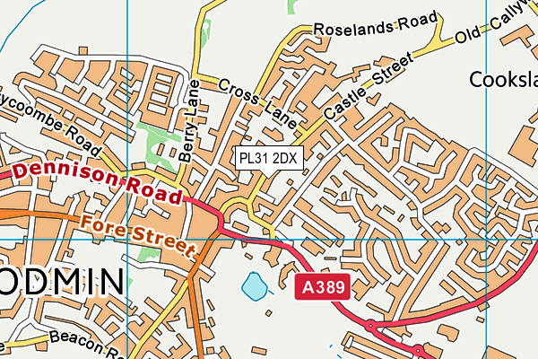 PL31 2DX map - OS VectorMap District (Ordnance Survey)