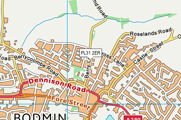 PL31 2ER map - OS VectorMap District (Ordnance Survey)