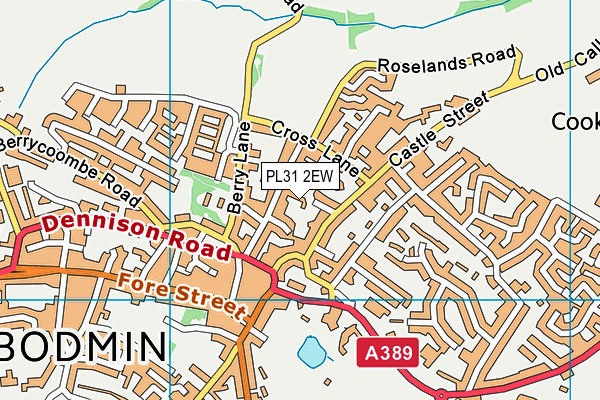 PL31 2EW map - OS VectorMap District (Ordnance Survey)