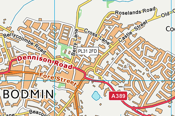 PL31 2FD map - OS VectorMap District (Ordnance Survey)