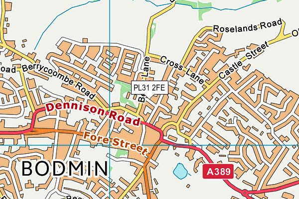 PL31 2FE map - OS VectorMap District (Ordnance Survey)