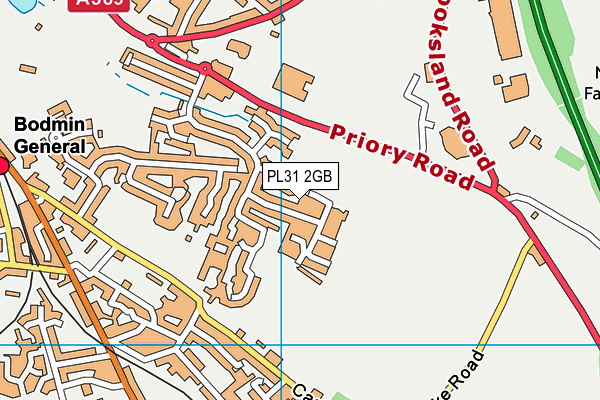 PL31 2GB map - OS VectorMap District (Ordnance Survey)