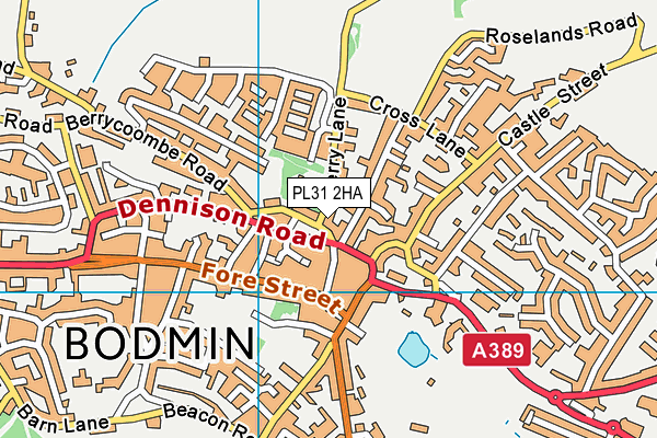 PL31 2HA map - OS VectorMap District (Ordnance Survey)