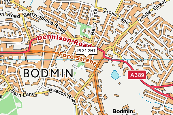 Map of LALA BARBER BODMIN LTD at district scale