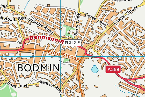 PL31 2JE map - OS VectorMap District (Ordnance Survey)