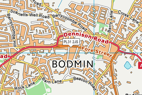 PL31 2JS map - OS VectorMap District (Ordnance Survey)