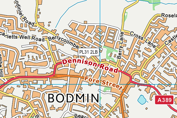 PL31 2LB map - OS VectorMap District (Ordnance Survey)