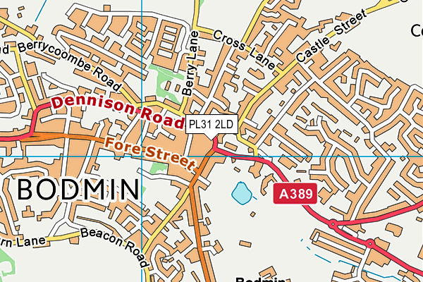 PL31 2LD map - OS VectorMap District (Ordnance Survey)