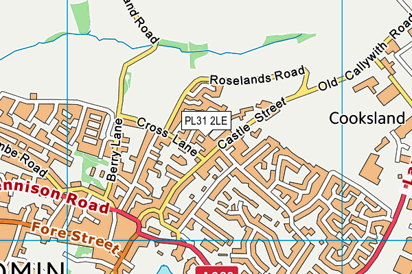 PL31 2LE map - OS VectorMap District (Ordnance Survey)