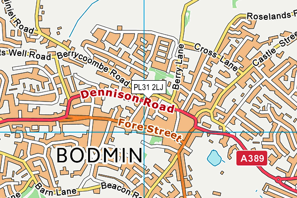 PL31 2LJ map - OS VectorMap District (Ordnance Survey)