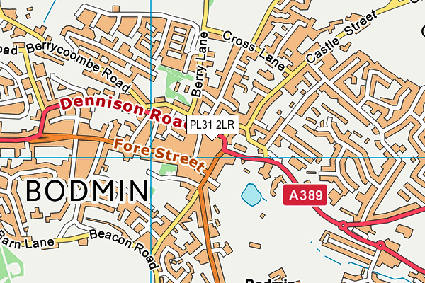 PL31 2LR map - OS VectorMap District (Ordnance Survey)