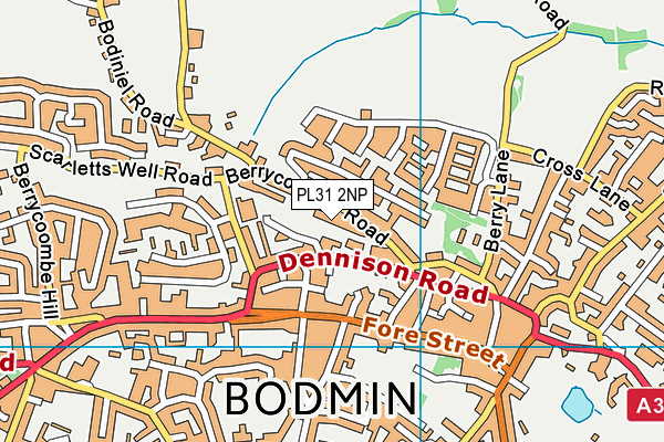 PL31 2NP map - OS VectorMap District (Ordnance Survey)