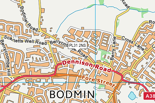 PL31 2NS map - OS VectorMap District (Ordnance Survey)