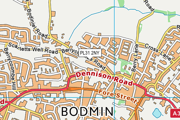 PL31 2NY map - OS VectorMap District (Ordnance Survey)