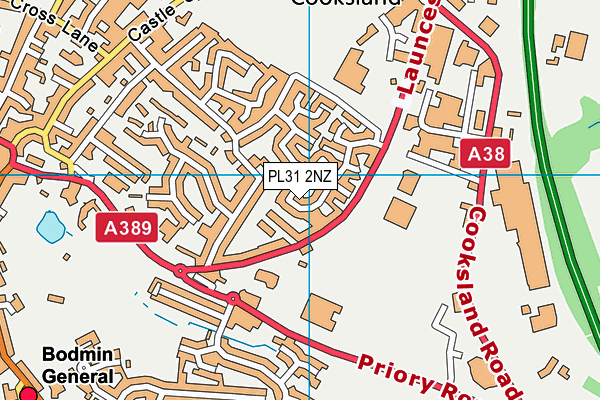 PL31 2NZ map - OS VectorMap District (Ordnance Survey)