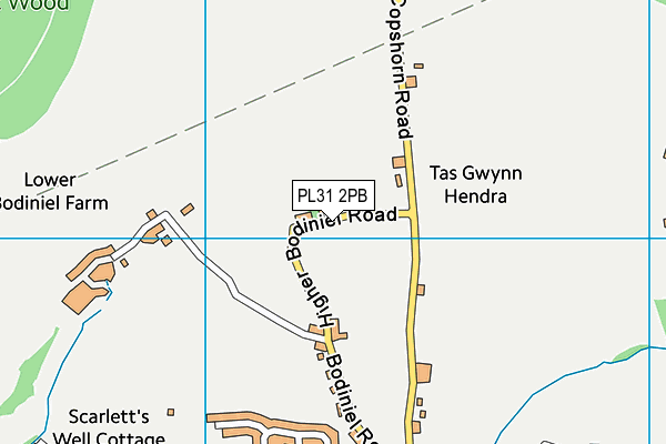 PL31 2PB map - OS VectorMap District (Ordnance Survey)