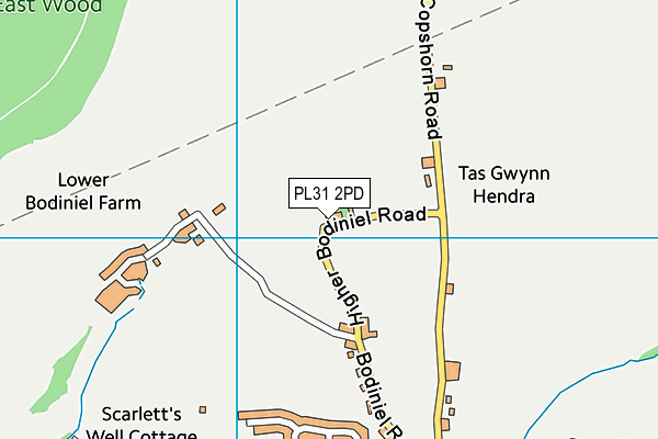 PL31 2PD map - OS VectorMap District (Ordnance Survey)