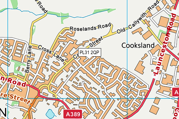 PL31 2QP map - OS VectorMap District (Ordnance Survey)