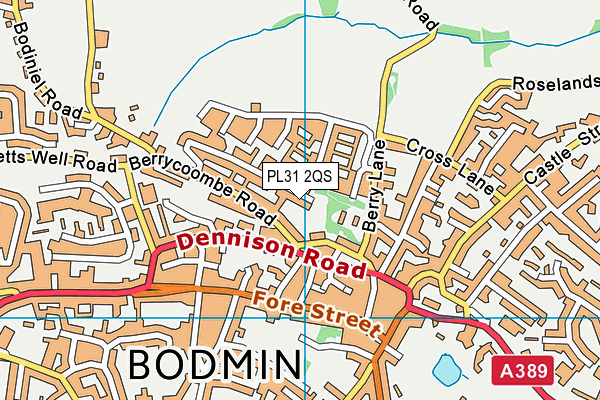 PL31 2QS map - OS VectorMap District (Ordnance Survey)