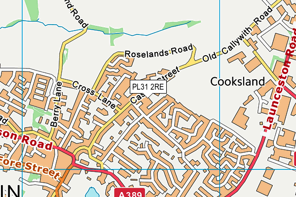 PL31 2RE map - OS VectorMap District (Ordnance Survey)