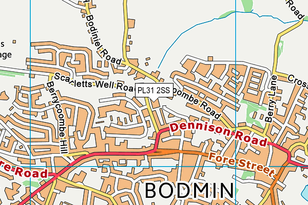 PL31 2SS map - OS VectorMap District (Ordnance Survey)