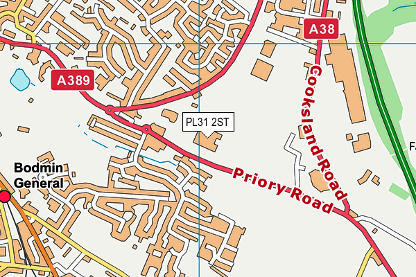 PL31 2ST map - OS VectorMap District (Ordnance Survey)