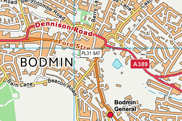 PL31 9AT map - OS VectorMap District (Ordnance Survey)