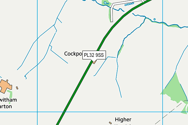 PL32 9SS map - OS VectorMap District (Ordnance Survey)