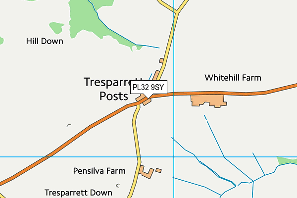 PL32 9SY map - OS VectorMap District (Ordnance Survey)