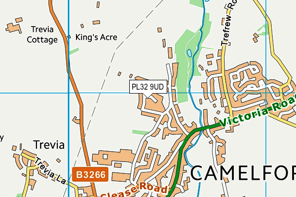 PL32 9UD map - OS VectorMap District (Ordnance Survey)