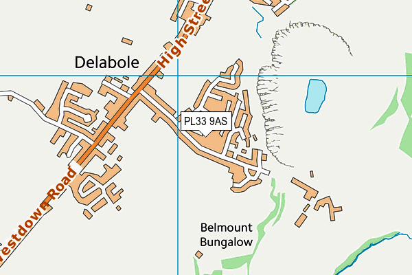 PL33 9AS map - OS VectorMap District (Ordnance Survey)