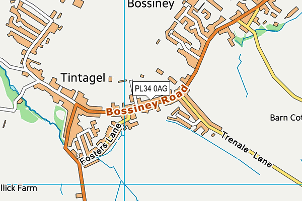 PL34 0AG map - OS VectorMap District (Ordnance Survey)