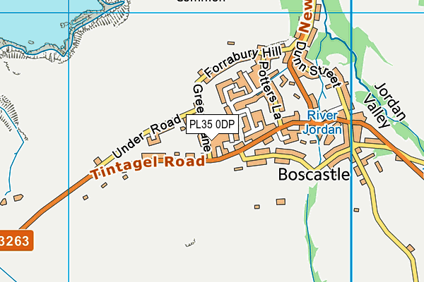 PL35 0DP map - OS VectorMap District (Ordnance Survey)