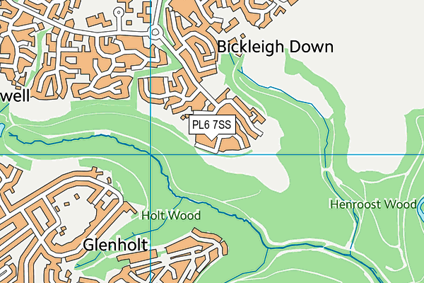 PL6 7SS map - OS VectorMap District (Ordnance Survey)