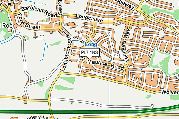 PL7 1NS map - OS VectorMap District (Ordnance Survey)