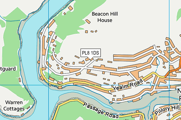 PL8 1DS map - OS VectorMap District (Ordnance Survey)