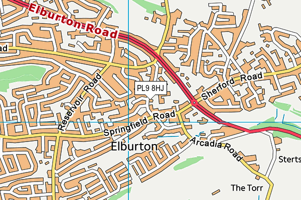 Elburton Primary School map (PL9 8HJ) - OS VectorMap District (Ordnance Survey)