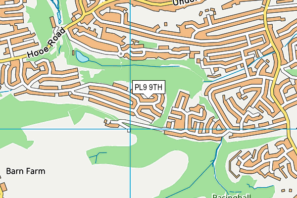 PL9 9TH map - OS VectorMap District (Ordnance Survey)