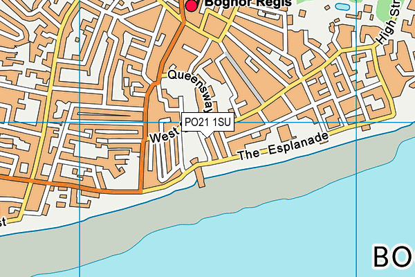PO21 1SU map - OS VectorMap District (Ordnance Survey)