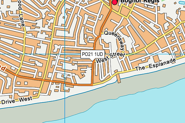 PO21 1UD map - OS VectorMap District (Ordnance Survey)