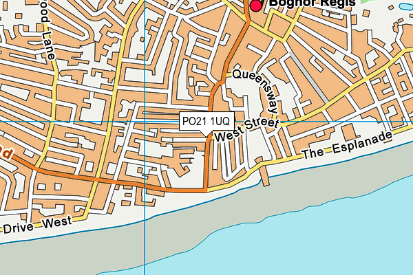 PO21 1UQ map - OS VectorMap District (Ordnance Survey)