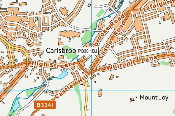 PO30 1DJ map - OS VectorMap District (Ordnance Survey)