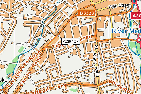 Nine Acres Primary School map (PO30 1QP) - OS VectorMap District (Ordnance Survey)